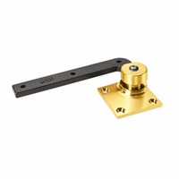 Rixson 117-LTP 605 bright brass bottom 3/4" offset pivot with black arm, less top pivot