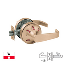 Sargent 70-V06-10XG37-VSLL-US10