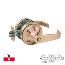 Sargent V06-10XG05-VSLL-US10-LAKD