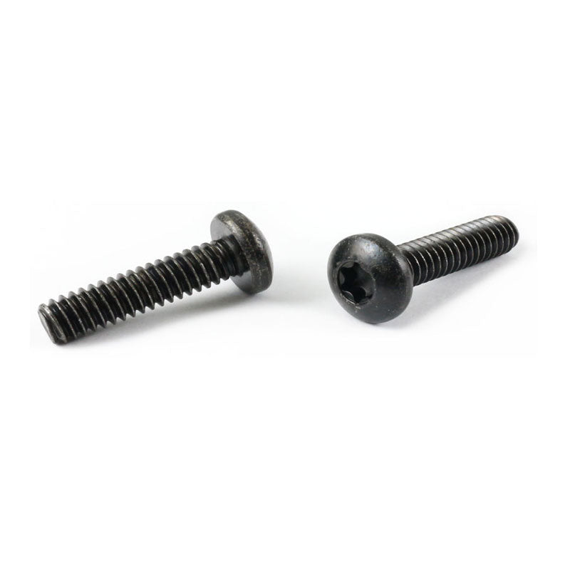 Air Louvers Security Torx Screw